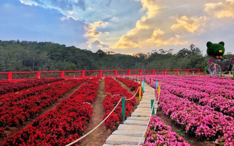 Lịch sử hình thành và phát triển của vườn hoa Đà Lạt